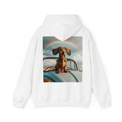 Dachshund Dog on Vintage Car Rainbow Sky