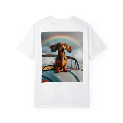 Dachshund Dog on Vintage Car Rainbow Sky