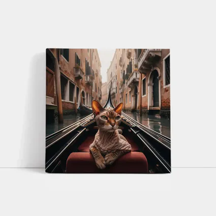 Devon Rex Cat Riding Venice Gondola Canal