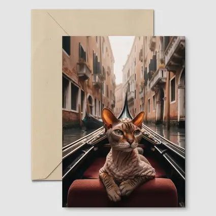 Devon Rex Cat Riding Venice Gondola Canal