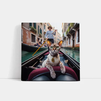 Devon Rex Cat Riding Venice Gondola