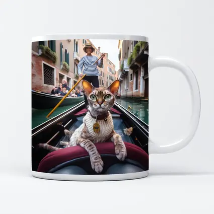 Devon Rex Cat Riding Venice Gondola