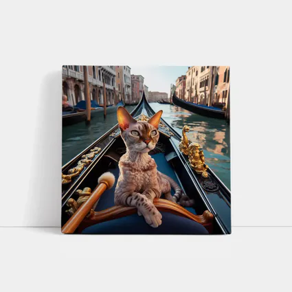 Devon Rex Cat Riding Venice Gondola Canal