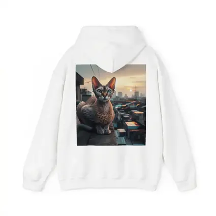 Devon Rex Cat Sitting On City Rooftop