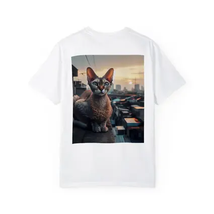 Devon Rex Cat Sitting On City Rooftop