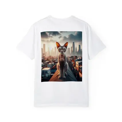 Devon Rex Cat Sitting On City Rooftop