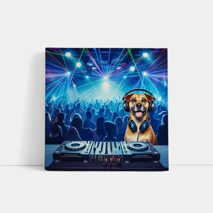 Happy Dog DJ Spinning at Night Club