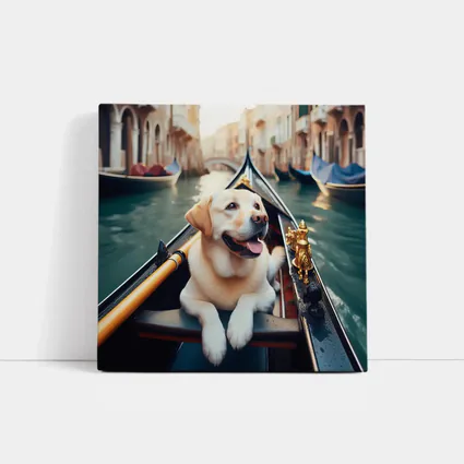 Labrador Retriever Riding Gondola Venice Canal