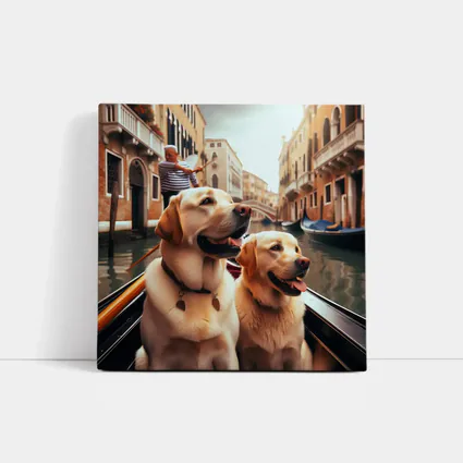 Labrador Retrievers Riding Gondola Venice Canal