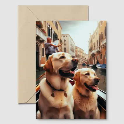 Labrador Retrievers Riding Gondola Venice Canal