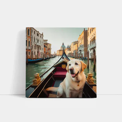 Labrador Retriever Riding Gondola Venice Canal