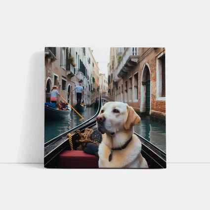 Labrador Retriever Riding Gondola Venice Canal