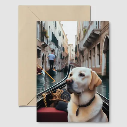 Labrador Retriever Riding Gondola Venice Canal