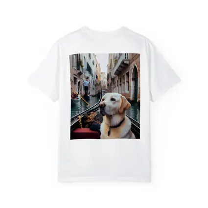 Labrador Retriever Riding Gondola Venice Canal
