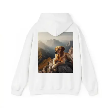 Yellow Labrador Retriever Resting On Mountain Summit