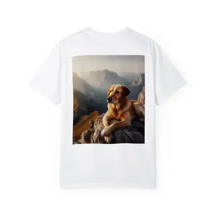 Yellow Labrador Retriever Resting On Mountain Summit