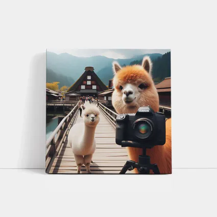 Alpaca Photographer Canon Camera Japan Village