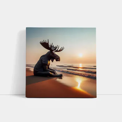 Moose Sitting Alone on Sunset Beach