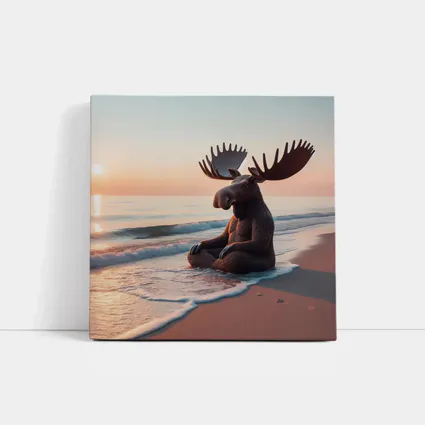 Moose Meditating on Peaceful Sunset Beach
