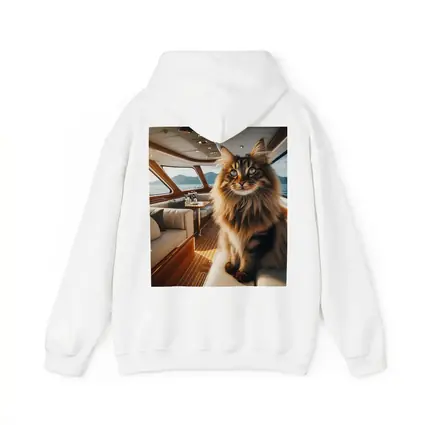 Maine Coon Cat Inside Luxury Yacht Cabin