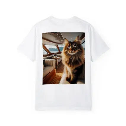 Maine Coon Cat Inside Luxury Yacht Cabin