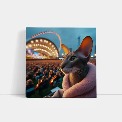 Abyssinian Cat At Outdoor Concert Night