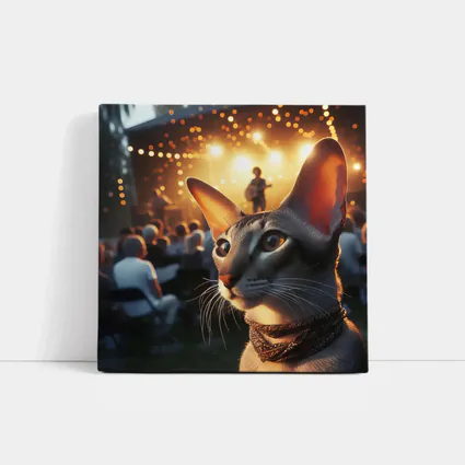 Oriental Shorthair Cat Outdoor Concert Night