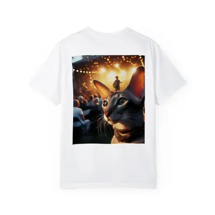 Oriental Shorthair Cat Outdoor Concert Night