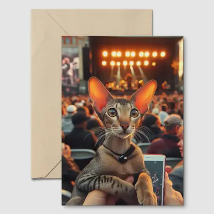 Oriental Shorthair Cat At Outdoor Concert