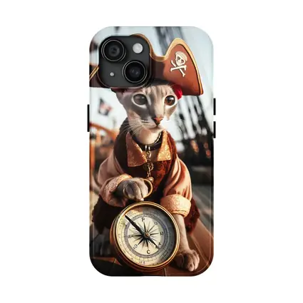 Pirate Cat With Compass On Ship