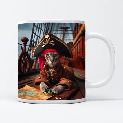 Gray Cat Pirate Ship Deck Adventure