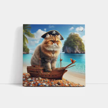 Persian Cat Pirate Ship Tropical Beach