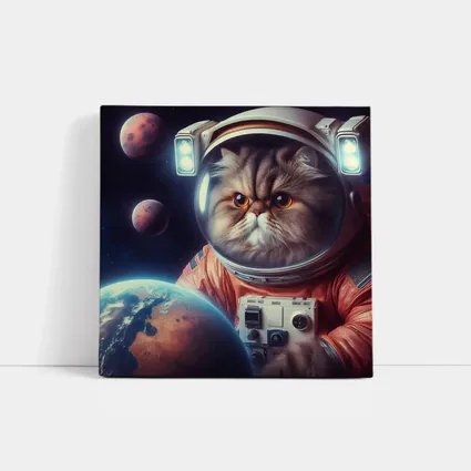 Persian Cat Astronaut Floating In Space