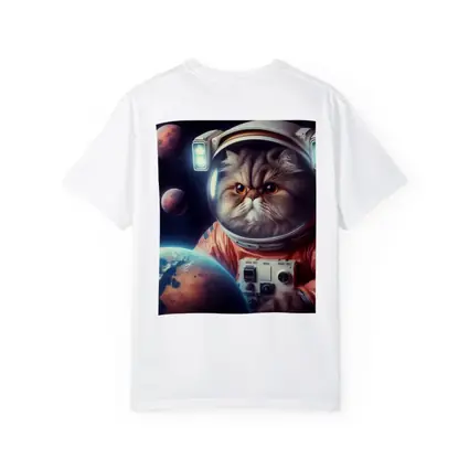 Persian Cat Astronaut Floating In Space