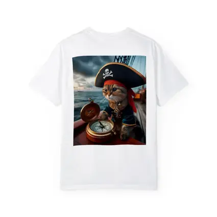 Pirate Cat With Compass On Ship
