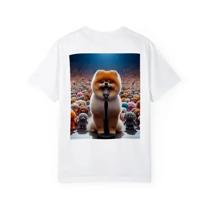Pomeranian Dog Singing On Stage Concert