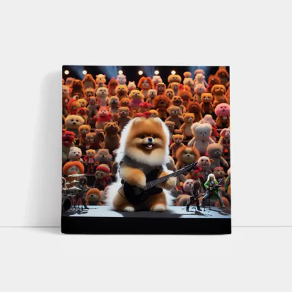 Pomeranian Dog Rocking Guitar On Stage