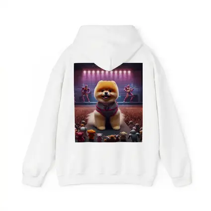 Pomeranian Dog Rocking Concert Stage Show