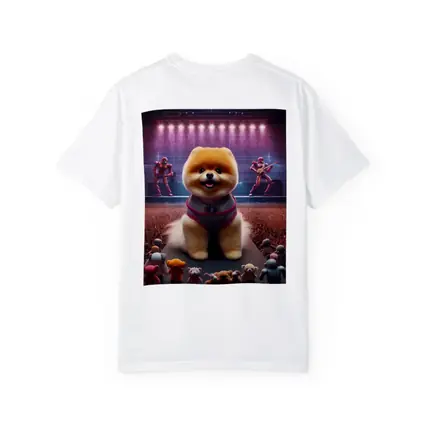 Pomeranian Dog Rocking Concert Stage Show