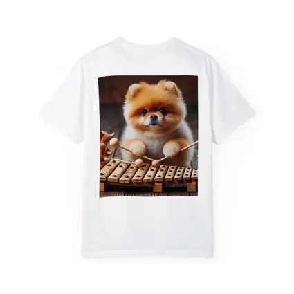 Pomeranian Playing Xylophone With Dinosaur Toys