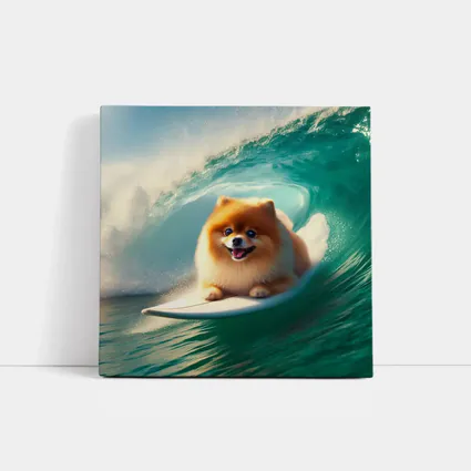Pomeranian Surfing Ocean Wave Tube