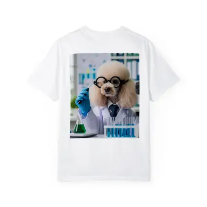 Poodle Scientist In Laboratory White Coat