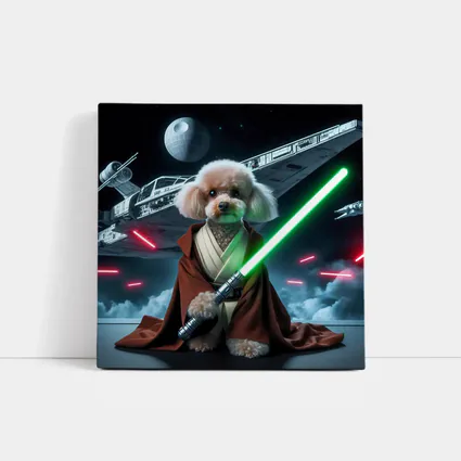 Poodle Jedi Knight Space Battle Scene