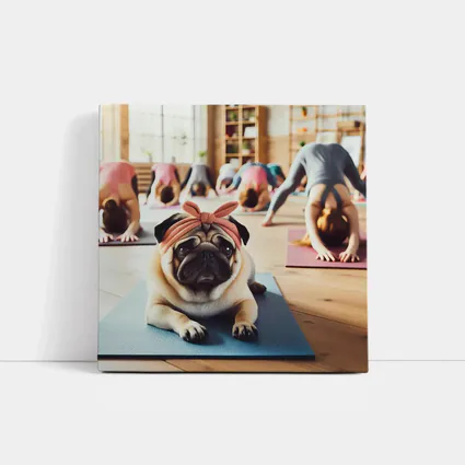 Pug Dog Wearing Headband Yoga Studio