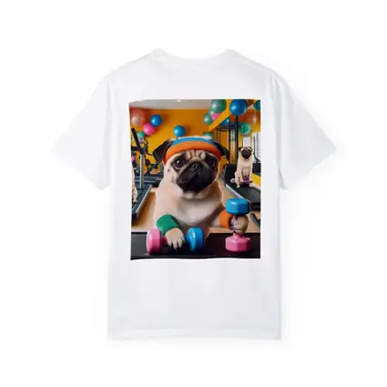 Pugs Working Out in Colorful Gym