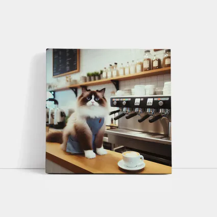 Ragdoll Cat Barista in Coffee Shop