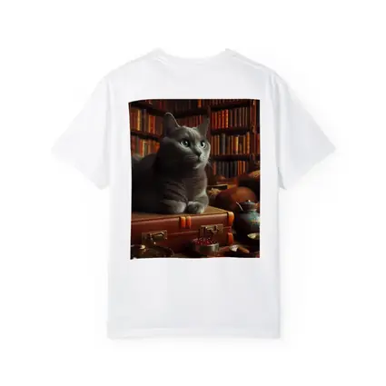 Russian Blue Cat Resting in Cozy Library
