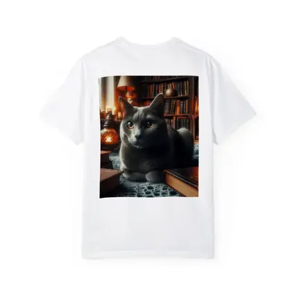 Gray Cat Resting in Cozy Library Setting