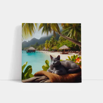 Russian Blue Cat Relaxing Tropical Beach Resort