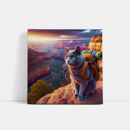 Gray Cat Hiking Grand Canyon Sunset